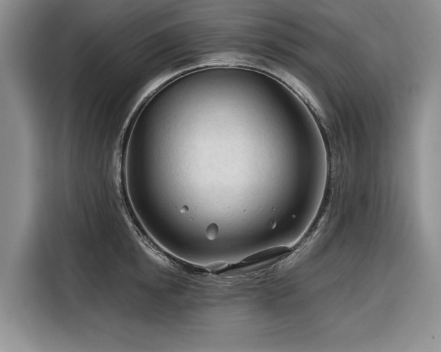 X0000116390854200912091433