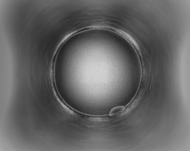 X0000116390855200912091433