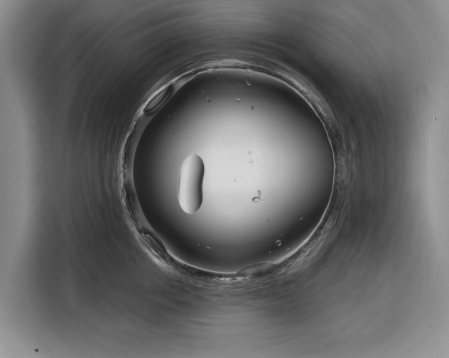 X0000116390858200912091433