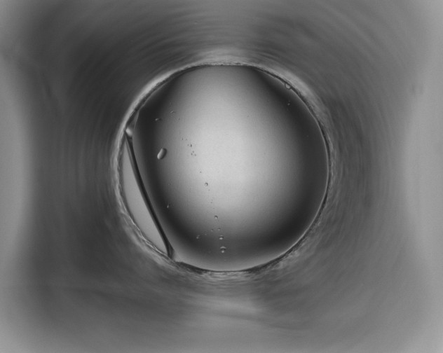 X0000116390864200912091433