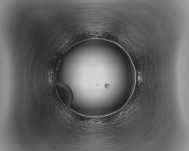 X0000116390867200912091432