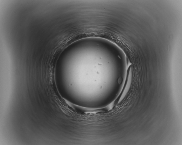 X0000116390868200912091432