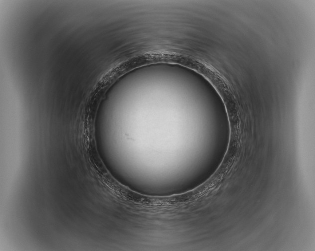 X0000116390870200912091432
