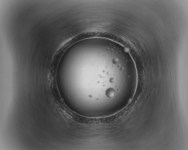 X0000116390872200912091432
