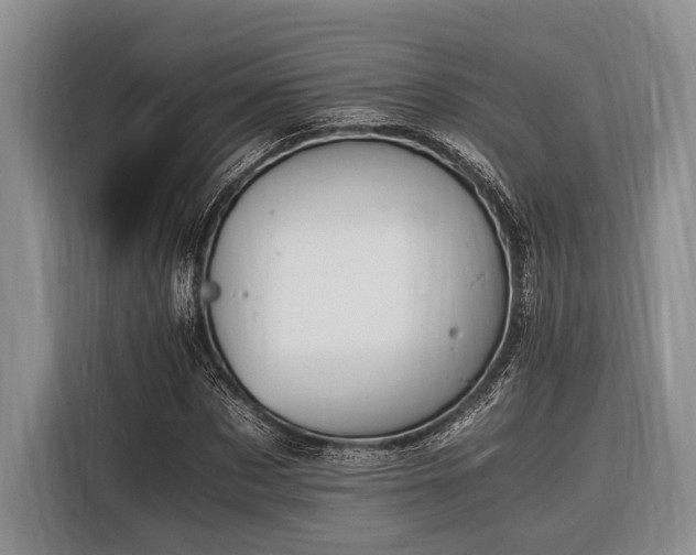 X0000116390873200912091432