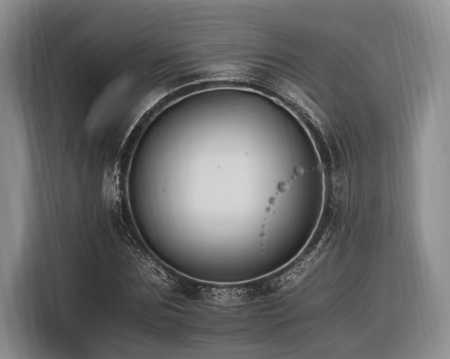 X0000116390875200912091432