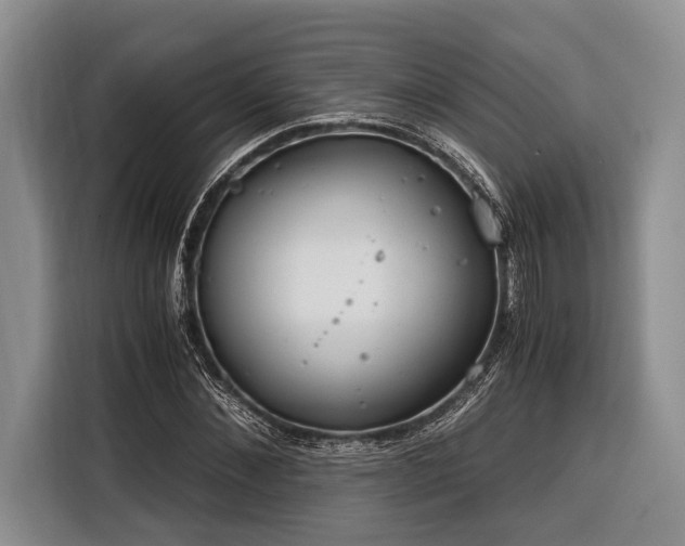 X0000116390876200912091432