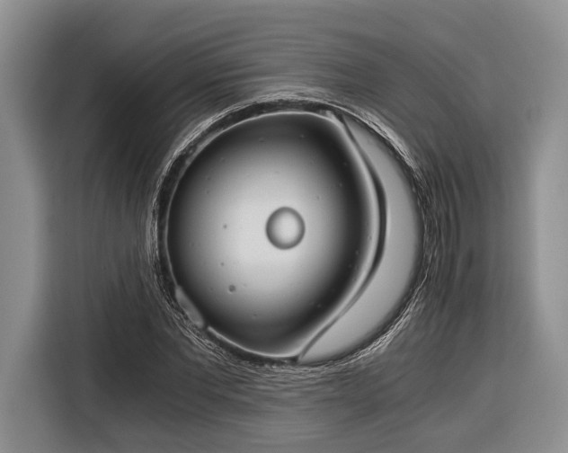 X0000116390877200912091432