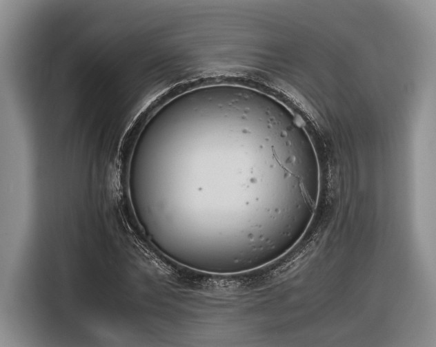 X0000116390878200912091432