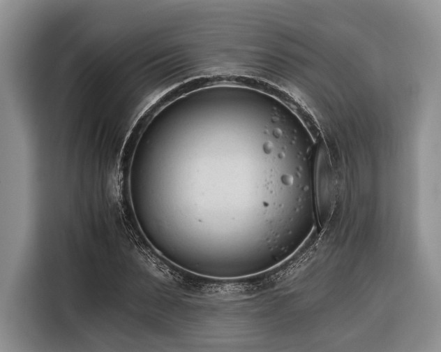X0000116390879200912091432