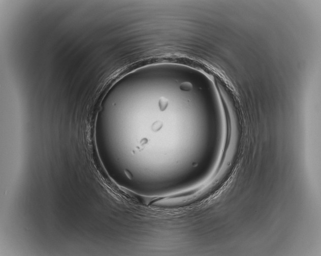 X0000116390881200912091432