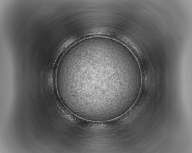 X0000116390882200912091432