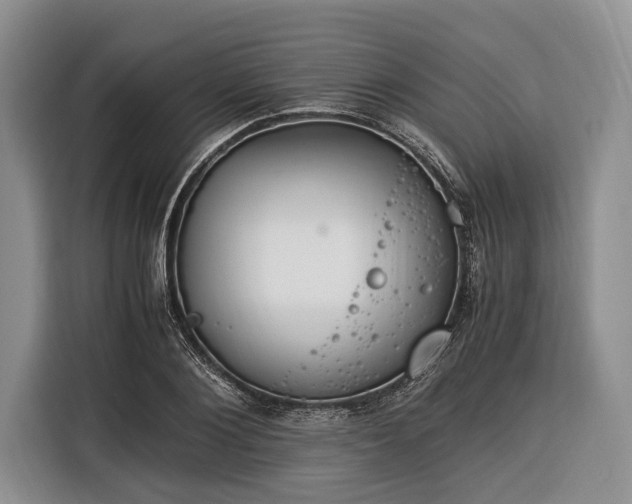X0000116390884200912091432