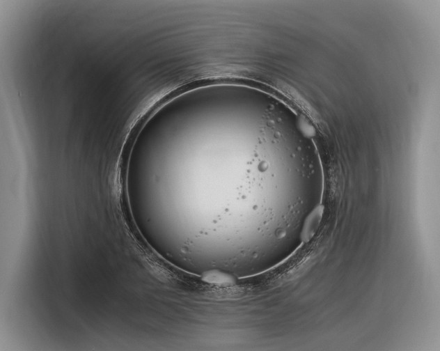 X0000116390885200912091432