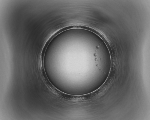 X0000116390887200912091432