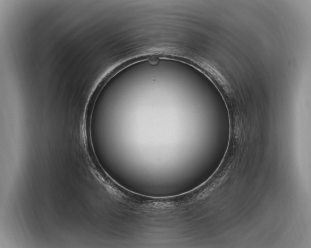 X0000116390888200912091432