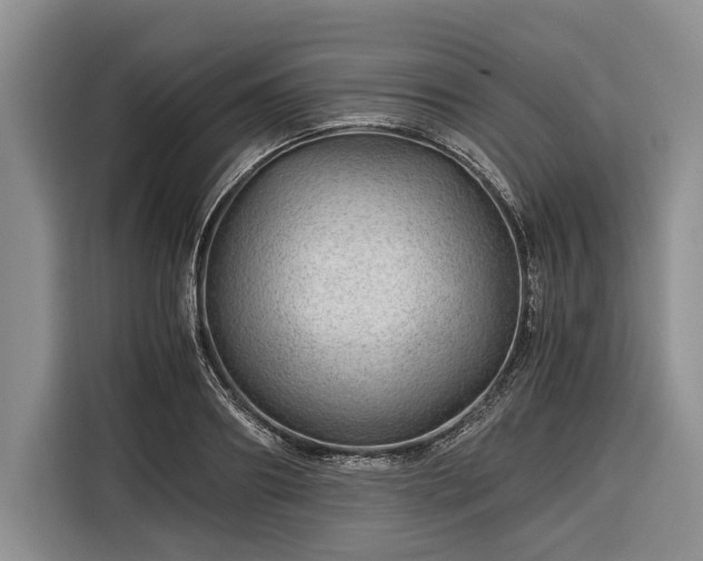 X0000116390890200912091432