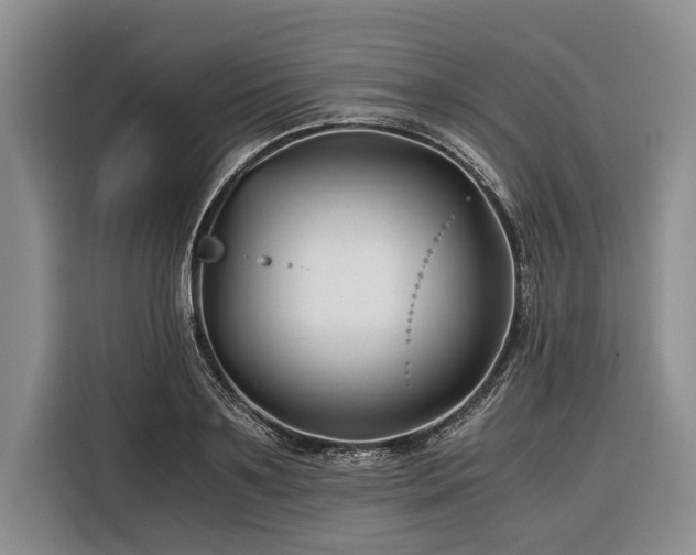 X0000116390891200912091432