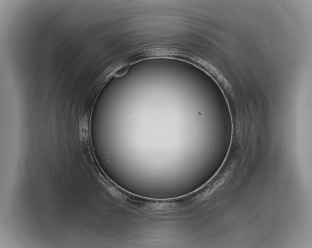 X0000116390897200912091432