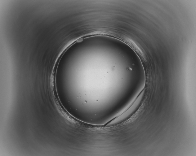 X0000116390900200912091432