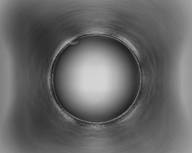 X0000116390901200912091432