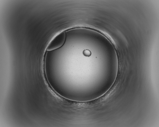 X0000116390903200912091432