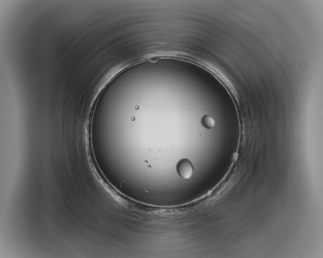 X0000116390906200912091432