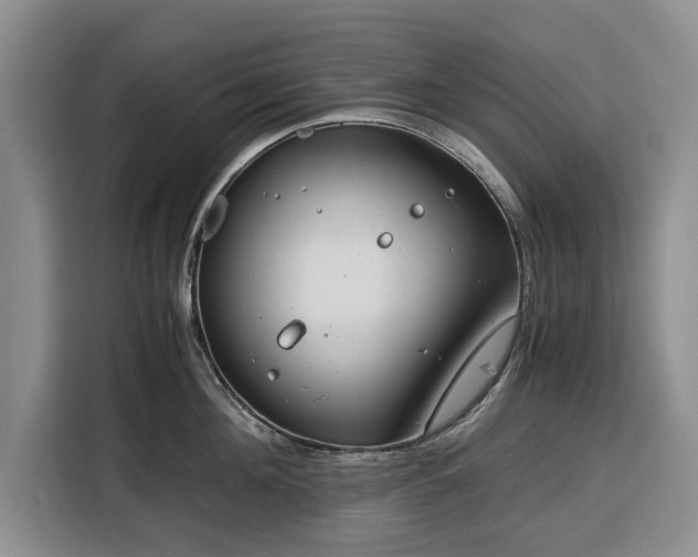 X0000116390908200912091432