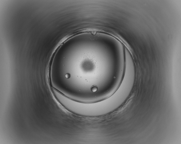 X0000116390909200912091432