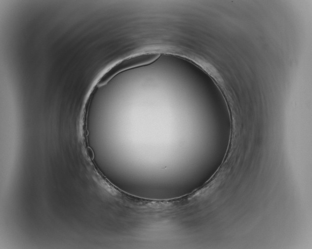 X0000116390912200912091432