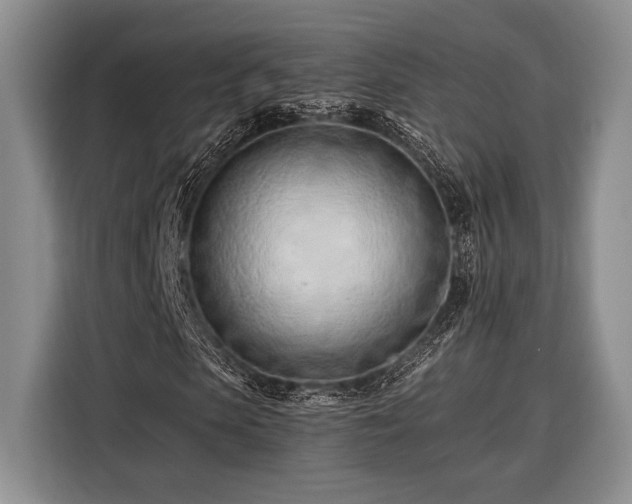 X0000116390913200912091431