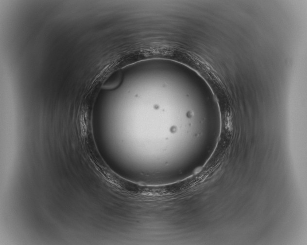 X0000116390915200912091431