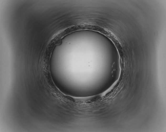 X0000116390919200912091431