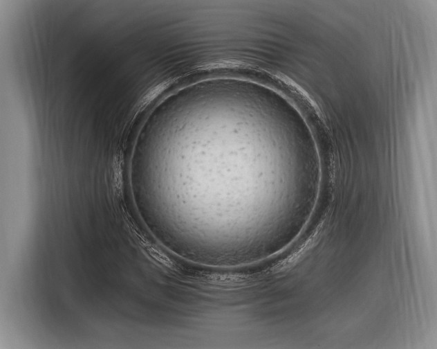 X0000116390921200912091431