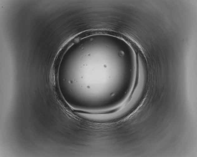 X0000116390925200912091431