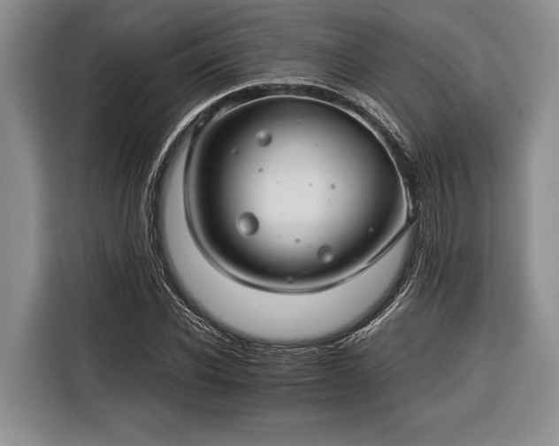 X0000116390926200912091431