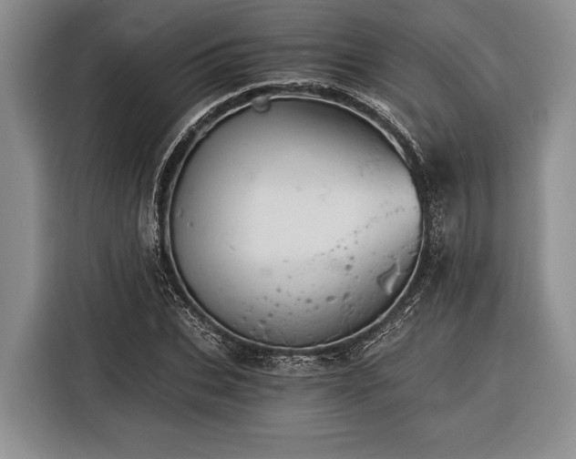 X0000116390927200912091431