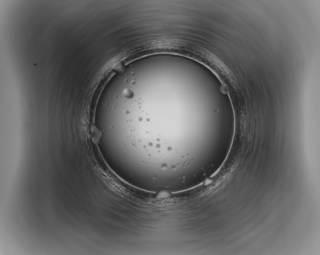 X0000116390930200912091431
