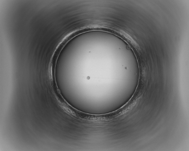 X0000116390934200912091432
