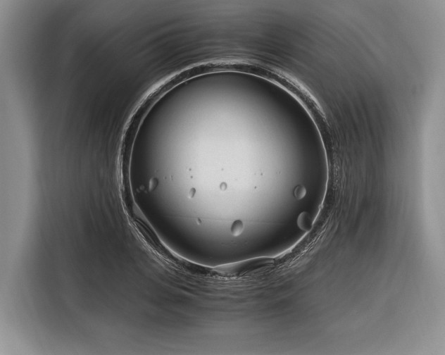 X0000116390935200912091432
