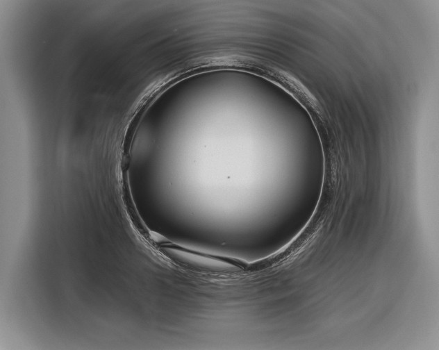 X0000116390938200912091432