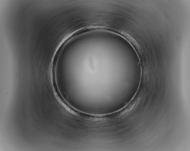 X0000116390941200912091432