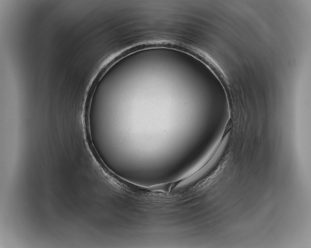 X0000116390943200912091432