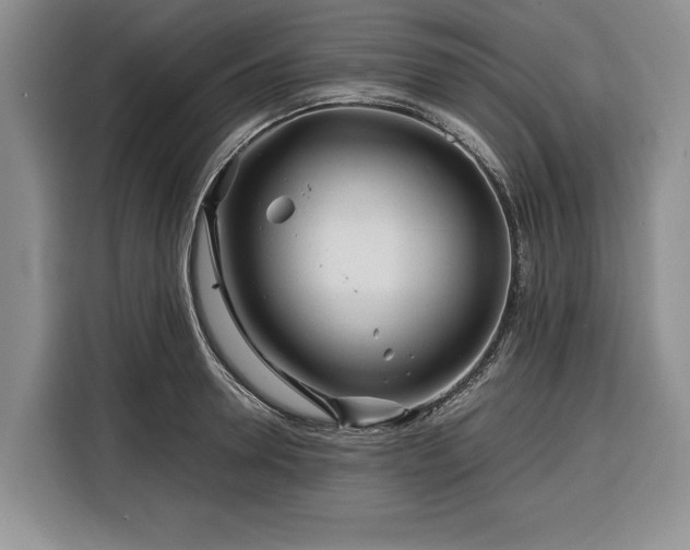 X0000116390946200912091432