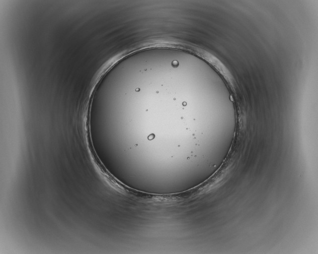X0000116390954200912091432