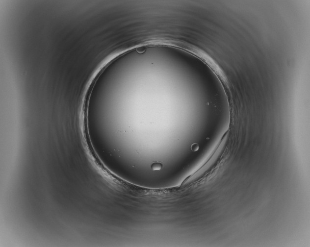 X0000116390955200912091432