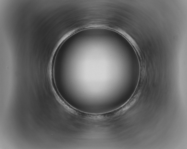X0000116390957200912091432