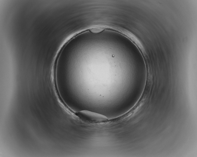 X0000116390958200912091432