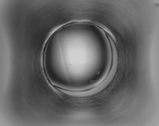 X0000116390959200912091432