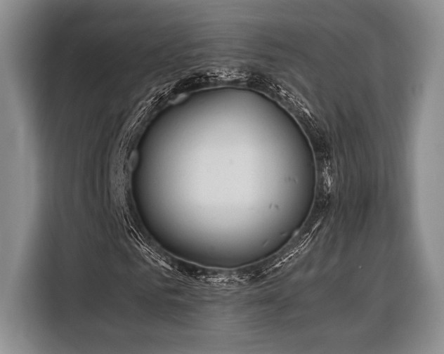 X0000116390961200912091431